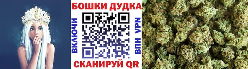 Бошки Шишки семена  Болхов 